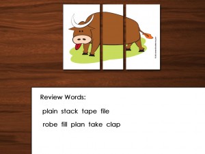 Keep the Silly Bull parts out during review words.