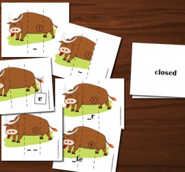 Silly Bull Syllable Type Cards