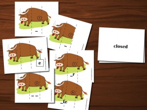 Silly Bull Syllable Type Cards
